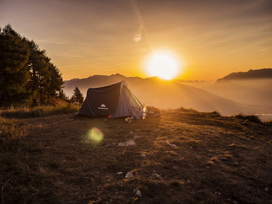 Campfire Night Under the Stars